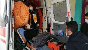 4 gün çimen yiyerek hayatta kaldı