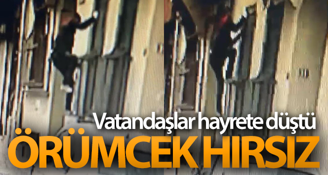 Hırsızdaki cüret ve cesarete bakar mısınız!