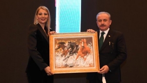 TBMM Başkanı Şentop'tan Çevikel'e övgü