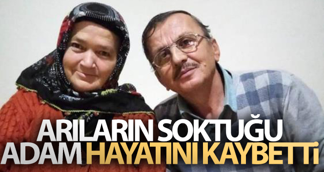Arıların soktuğu talihsiz adam yaşamını yitirdi