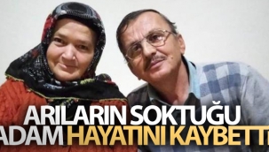 Arıların soktuğu talihsiz adam yaşamını yitirdi