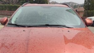 Bursa'ya çamur yağdı..