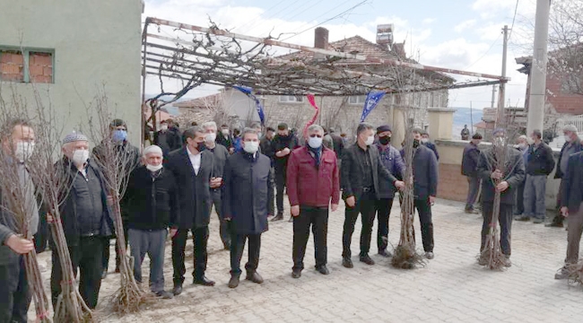 Dağ ilçeleri meyvecilikle kalkınacak