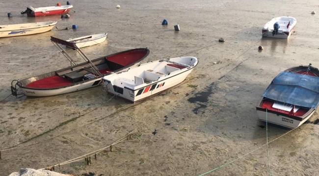 Gemlik Sahilini gören şaşkına dönüyor