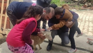Hayırsever kardeşlere kuzu sürprizi