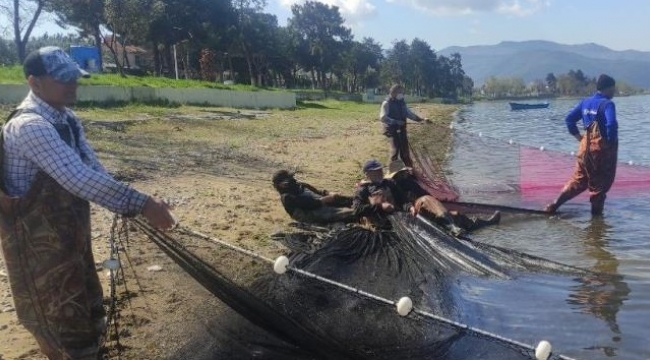 İznik Gölü’nde gümüş balığı rekoru: 1 günde 15 ton