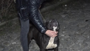 'Karlos'un yakaladığı taciz şüphelisi tutuklandı