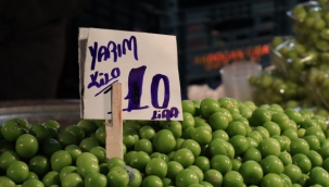 Kilosu 20 TL'den satılan erik vatandaşı memnun etti
