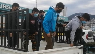Kısıtlamada 8 kaçak göçmen yakalandı