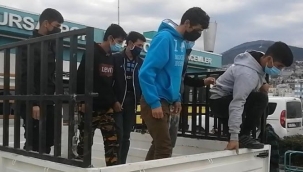 Kısıtlamada yakalanan 8 kaçak göçmen, düğüne gidiyormuş
