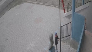 Koyun otlatan çocuğun bayrak hassasiyeti takdir topladı