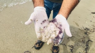 Kuşadası'nda denize vurdular! Sakın çıplak elle dokunmayın