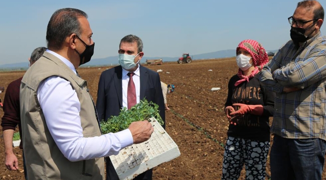 Mevsimlik tarım işçileri Bursa’ya geldi