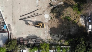 Okul bahçesindeki ağaç katliamını mahalleli önledi