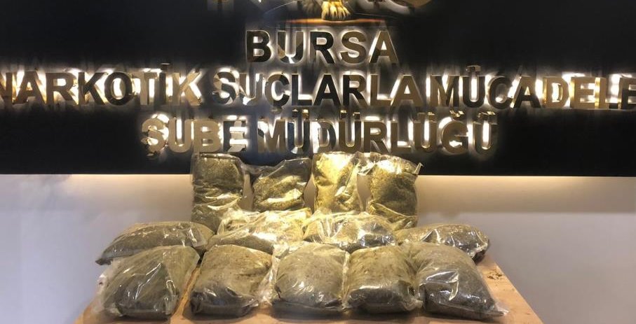 Ormanda nefes kesen bonzai operasyonu kamerada