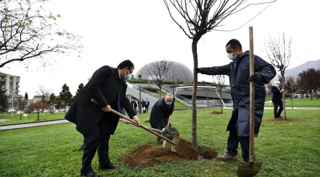 Osmangazi erguvanla renklenecek
