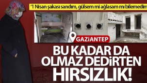 Pes dedirten hırsızlık!