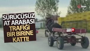 Sürücüsüz at arabası trafiği bir birine kattı