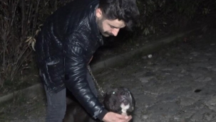 Taciz şüphelisini ''Karlos'' yakaladı, esnaf dövdü