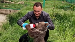 3 aylık Dolunay'ın keyfi yerinde