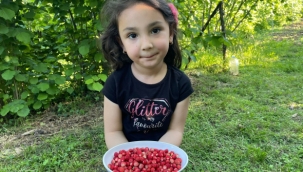 4 saatte bir kilo toplanabiliniyor kilosu 200 TL