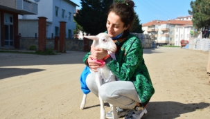 Altını bezlediği kuzusuyla alışverişe de gidiyor, sahile de