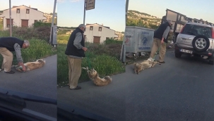 Bağladığı köpeği sürükleyerek çöpe atan şahıs yakalandı