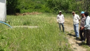 Bu mahallenin suyu şeker hastalarına şifa dağıtıyor