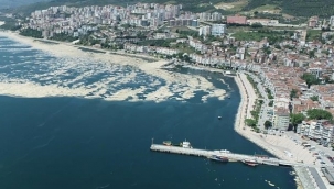 Gemlik Körfezi normale dönüyor