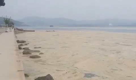 Gemlik Narlı sahilleri beyaza büründü