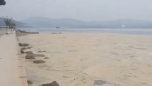 Gemlik Narlı sahilleri beyaza büründü