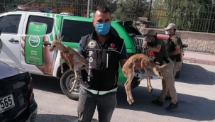 Polisin durdurduğu otomobilden bakın ne çıktı