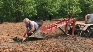 Saatlerce bataklıkta kurtarılmayı bekledi
