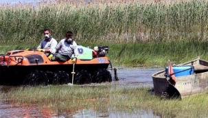 Sinekle mücadele hız kesmiyor