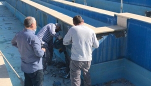 Süs havuzları yaza hazırlanıyor