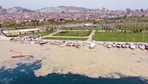 Türkiye’nin geleceğini tehdit eden deniz salyası ABD basınının gündeminde