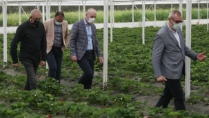 Vekil Işık: Üretime ara yok