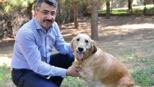 Yıldırım’da can dostları emin ellerde