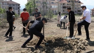 173 fidan toprakla buluştu