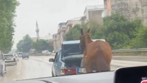 Aracın arkasına at bağlayıp koşturan şahsa ağır ceza