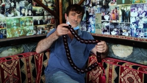 Binlerce turisti evlerinde ücretsiz ağırlıyorlar