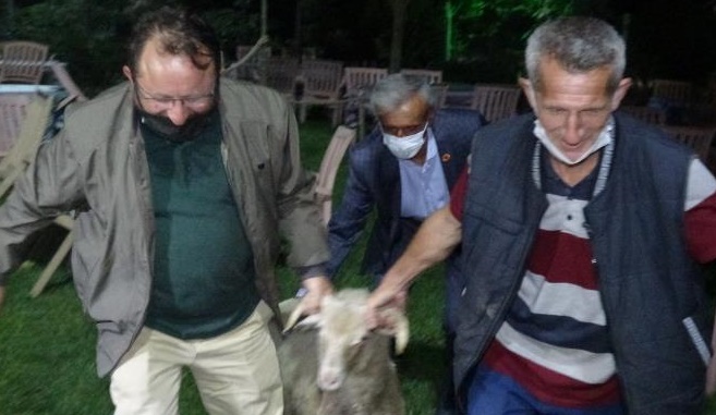 Firari koç 13 saatte yakalandı