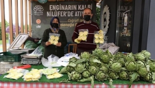 Hasanağa enginarına ulaşmak artık çok kolay