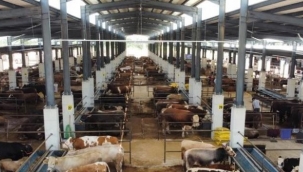 İnegöl'ün tarım yatırımlarına tam not
