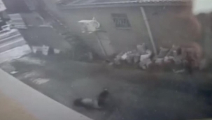İş yerinin camından böyle düştü