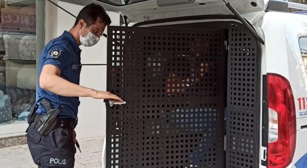 Kadın esnaf hırsızlık zanlısını yakaladı