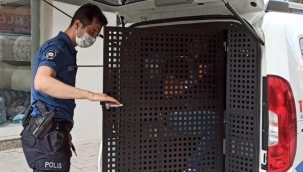 Kadın esnaf hırsızlık zanlısını yakaladı