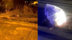 Kan donduran cinayet: 1'i kadın 2 kişi öldürüldü