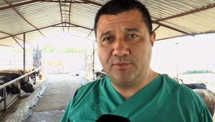 Kurbanlık alacaklara uzmanından uyarılar