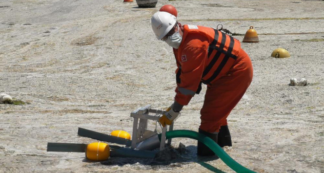 Marmara'da deniz salyası temizliği başladı